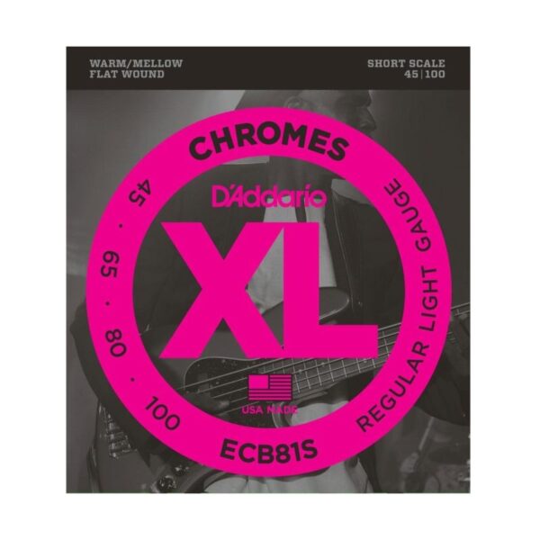 ECB81S-e1533830265910.jpg ECB81S-e1533830265910.jpg