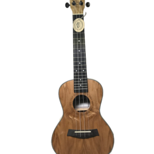 UKELELE ASHLAND CONCIERTO UK-2411