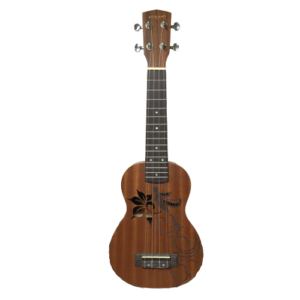 UKELELE ASHLAND SOPRANO UK-184S-EQ