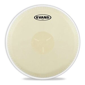 PARCHE DE BONGO EVANS