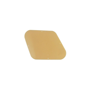ACRILICO TRASERO SAMBONG LES PAUL