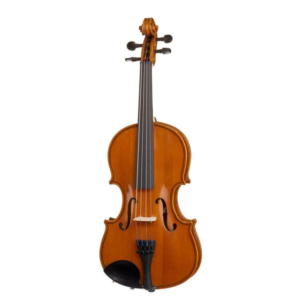INSTRUMENTOS DE ARCO