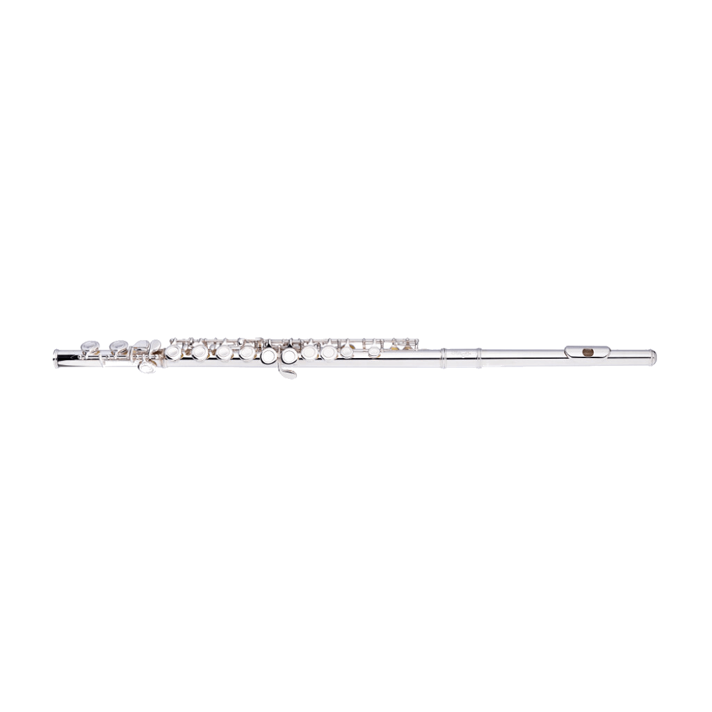FLAUTA TRAVERSA 16 LLAVES STAGG WS-FL111