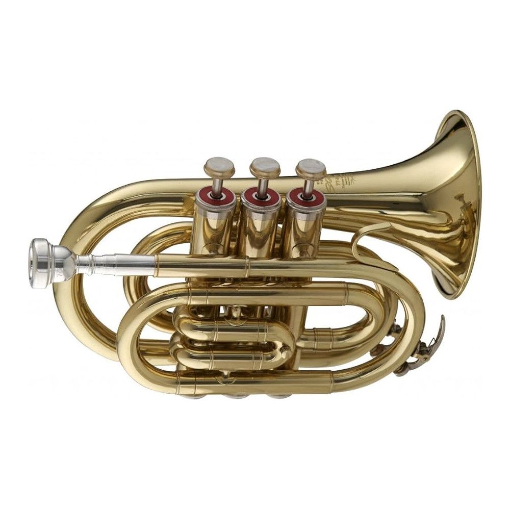 TROMPETA POCKET STAGG WS-TR245S
